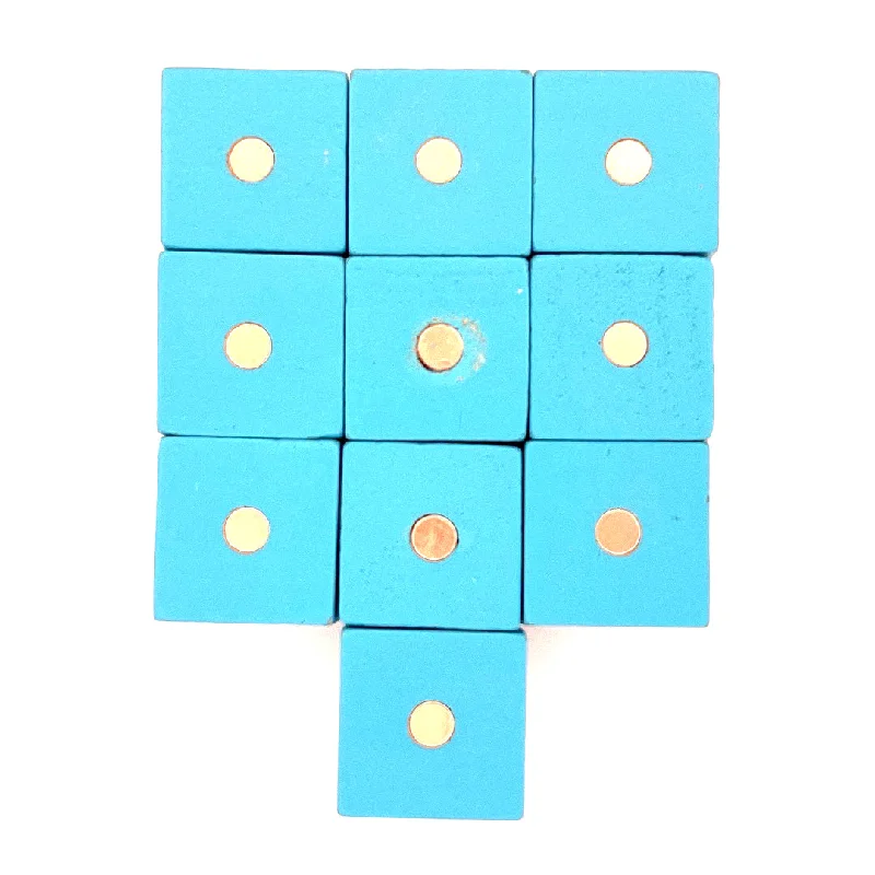 Magnetic Fishing Toys for Toddlers with Floating Magnetic FishMagna Blocks