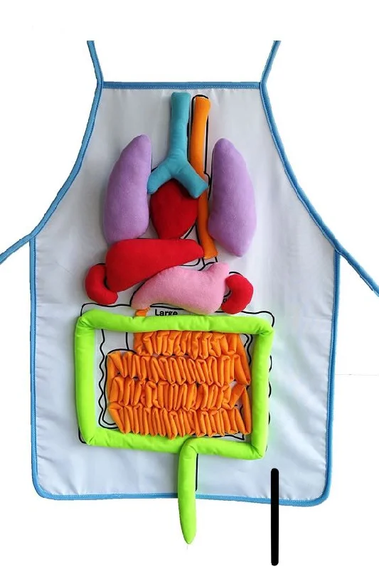 Hand - Sanded Wooden Educational Toys for Safe Exploration by PreschoolersHuman Anatomy Organs Apron - What's Inside Me Anatomy Apron