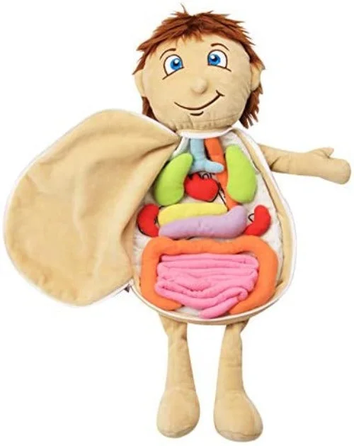 Sustainable Solid Wood Educational Toys with a Language - Learning Activity BookHuman Anatomy Organs Doll - What's Inside Me Anatomy Plush Doll- Teaching Tool