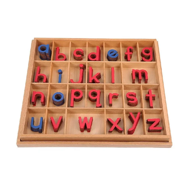 Sustainable Wooden Educational Toys with a Storytelling and Role - Playing SetLarge Moveable / Movable Alphabet (LMA) -  Wooden Smaller size