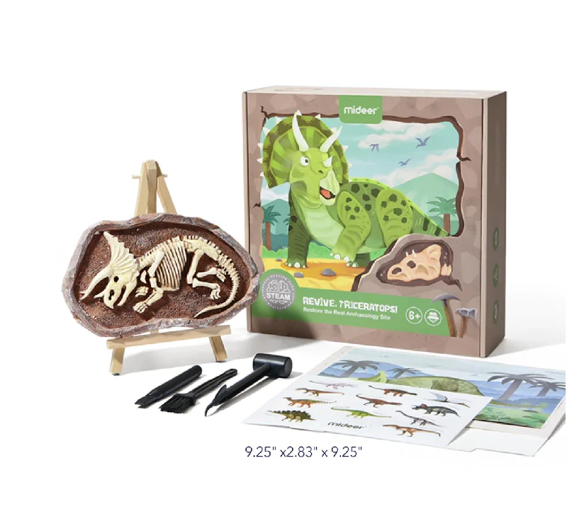 Eco - Friendly Wooden Educational Toys with a Gardening and Plant - Growing KitTriceratops Dino Fossil Dig Kit